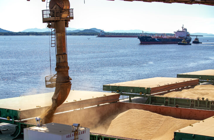 Agronegócio impulsiona exportações de MS, que crescem 12,5% até setembro