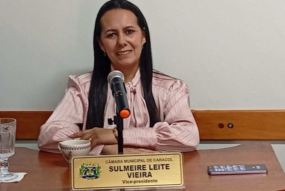vereadora Meire Leite pede iluminação para estrada rural e aumentando a proteção para pedestres e ciclistas